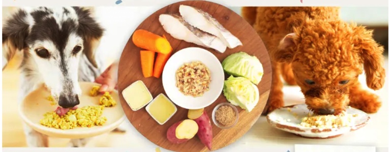 【PETOKOTO FOODS(ペトコトフーズ)】情報サイト
